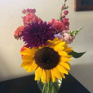 Profile Picture of Doug Richard (@doug.richard7) on Tiktok