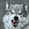 Profile Picture of Chris Bassler (@@chrissoa5) on Tiktok