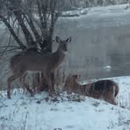 Profile Picture of Jim Hurd (@jim.hurd.54) on Facebook