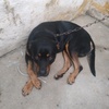 Profile Picture of Emmanuel Rocha (@@boeconsultoria) on Tiktok