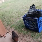 Profile Picture of Marty Wagner (@marty.wagner.7127) on Facebook