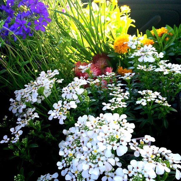 Molly Vladyka - Poshmark Profile Picture of Molly Vladyka (@plebberson) on Poshmark