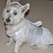 Profile Picture of Trudy Olson (@olson2106) on Pinterest