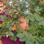 Profile Picture of Andrea Schnabl (@andrea.schnabl.50) on Instagram