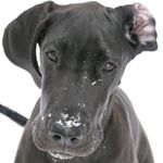 Profile Picture of Kim Napier (@kim.napier) on Instagram