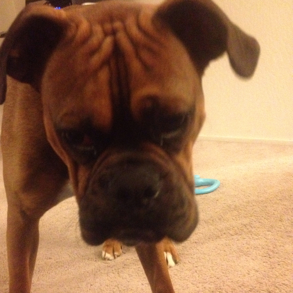 Profile Picture of Nikki Higgins (@nikkirae) on Poshmark