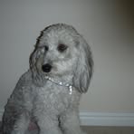 Profile Picture of Ray Hulett (@ray.hulett.35) on Facebook