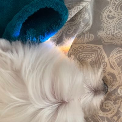 Profile Picture of Ruby Jacobs (@therubyjacobs) on Twitter