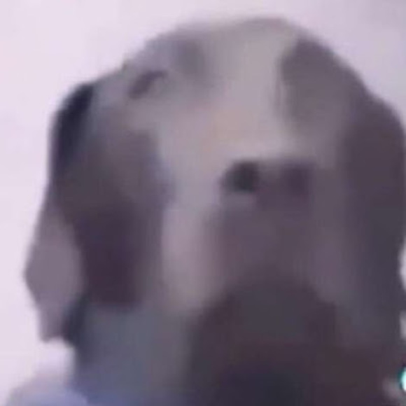 Sebastian Rakowski - Poshmark Profile Picture of Sebastian Rakowski (@sebrako) on Poshmark