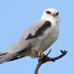 Profile Picture of Celine Kelly (@celine.kelly.58152) on Instagram