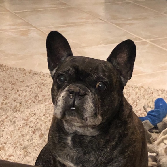 Heather Kindrick - Poshmark Profile Picture of Heather Kindrick (@kindrickheather) on Poshmark