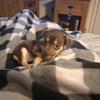 Profile Picture of illegals13 (@joseph.wilkinson5) on Tiktok
