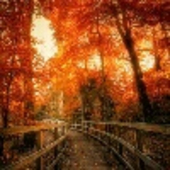 Profile Picture of Jackie Ciardullo (@jackie823) on Poshmark