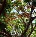 Profile Picture of Sằm Sinh (@Sằm-Sinh) on Facebook