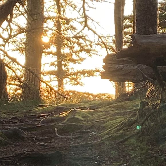 Profile Picture of Mandy Evans (@almevans24) on Poshmark