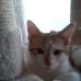 Profile Picture of Kim Raymer (@kim.raymer.526) on Facebook