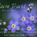 Profile Picture of Tamara Peterson (@gavin2012) on Pinterest