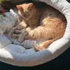 Profile Picture of Aaron Seltzer (@aaron.seltzer1) on Tiktok