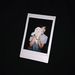 Profile Picture of Collin Lowe (@colliniscool10356) on Pinterest