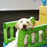 Profile Picture of Bailey Dobson (@baileypdobson) on Instagram