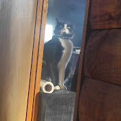 Profile Picture of Alejandro Riquelme (@alejandroriquelme7350) on Youtube