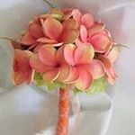 Profile Picture of Reina Zenteno (@fiona_nava_01) on Instagram