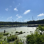 Profile Picture of Sophia Griffiths (@sgrif016) on Flickr