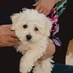 Profile Picture of Anne Rowe (@anne.rowe.212173) on Facebook