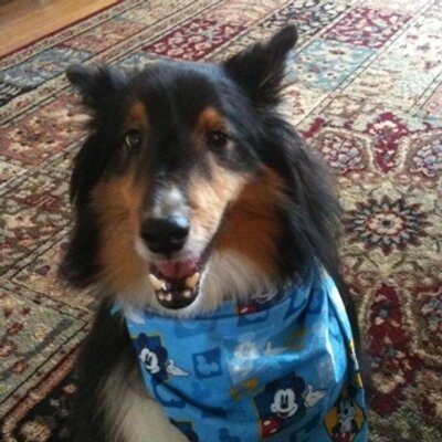 Profile Picture of Chris Soper (@Chris_Soper) on Twitter