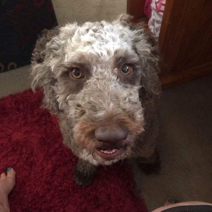 Profile Picture of michayla_lovegod (@michayla_lovegod) on Tiktok