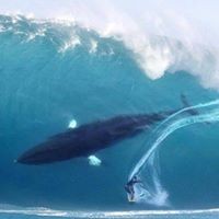 Profile Picture of Rupert Phillips (@rupert-phillips-6) on Quora