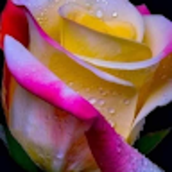 Profile Picture of Geralyn Oree (@geralyn_oree) on Poshmark