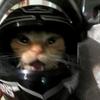 Profile Picture of Matthew_umm1 (@matthew_umm1) on Tiktok