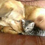 Profile Picture of Kimi Dillow (@deimos66) on Instagram