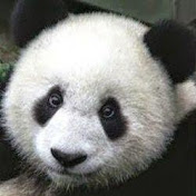 Profile Picture of Panda Dahley (@MrDahlios) on Youtube