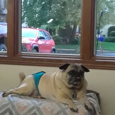 Profile Picture of Ron Hodgson (@RonHodgson10) on Twitter