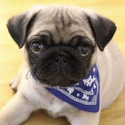 Profile Picture of Bertie Fernando Morgan (@bertiefernandomorgan1858) on Youtube