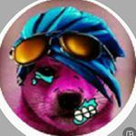 Profile Picture of Voglio Il Tuo Sushi 😉 (@sj_sushina_) on Instagram