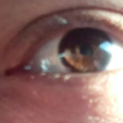 Profile Picture of Pedro Canepa (@petercanepa) on Twitter