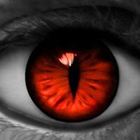 Profile Picture of Grant Derrick Smith (@grant-derrick-smith) on Quora