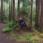 Profile Picture of Joe Godbey (@joe.godbey) on Instagram