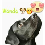 Profile Picture of wanda marcela (@wanda_marcela1) on Instagram