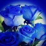 Profile Picture of Stephen (@stephenroopan) on Instagram