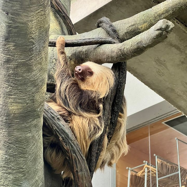Profile Picture of James Xiong (@jamesbund12) on Tiktok