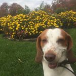 Profile Picture of Paula Wiese (@paula_wiese_1234) on Instagram