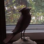 Profile Picture of Larry (@larrykeating1533) on Instagram