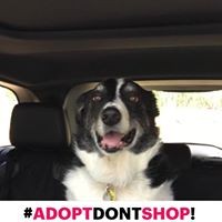 Profile Picture of Lisa Smyth Thompson (@lisa-smyth-thompson) on Quora