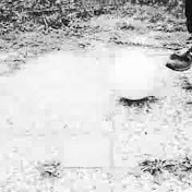 Profile Picture of Michael Vader Waal (@maikeru010) on Youtube