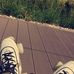 Profile Picture of Rose Makowska (@rose.makowska.3) on Facebook