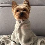 Profile Picture of Paulina Pola Kosewska (@paulinapolakosewska) on Instagram